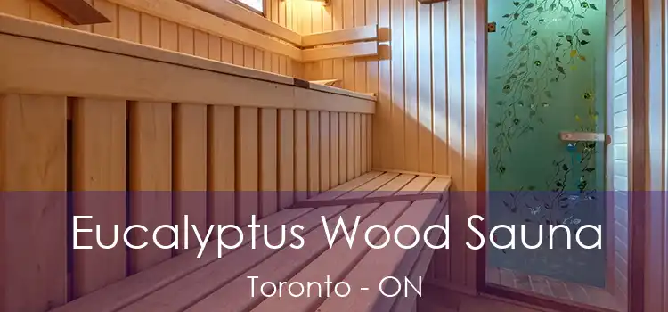  Eucalyptus Wood Sauna Toronto - ON